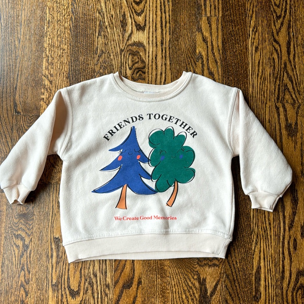2-3T Zara sweatshirt
